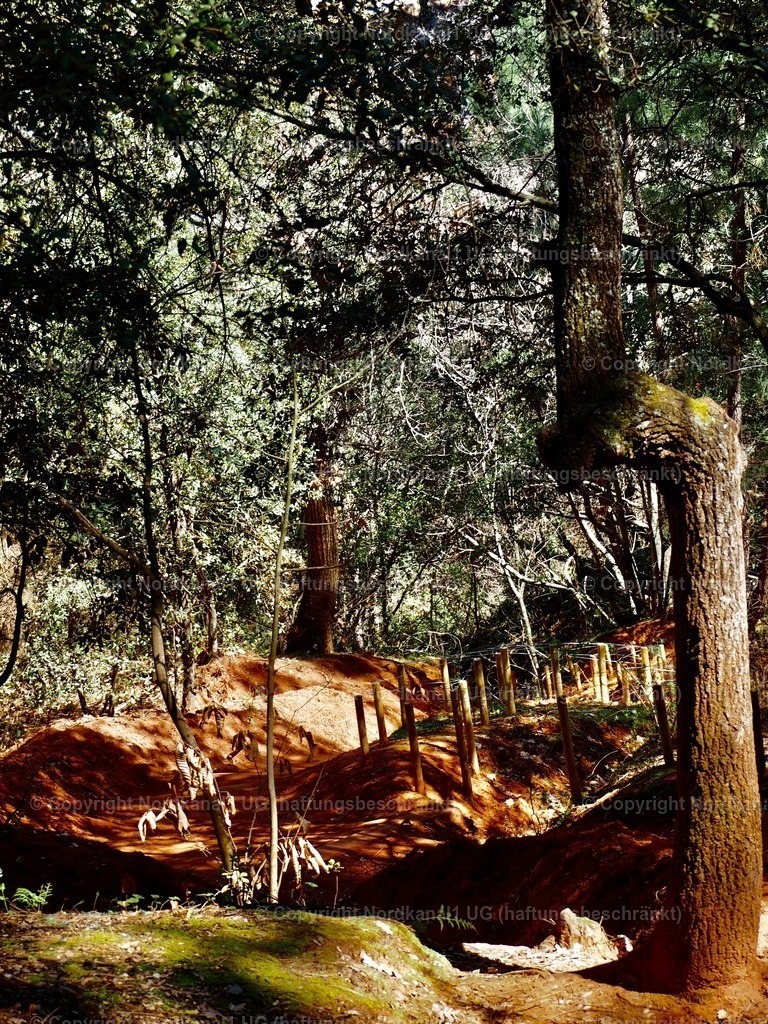 IMG_2953 | OLYMPUS DIGITAL CAMERA          - Realisiert mit Pictrs.com