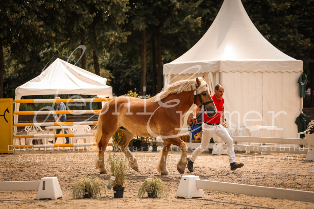 SaSieger00001 | Leoni Ertmer Photography - Realisiert mit Pictrs.com