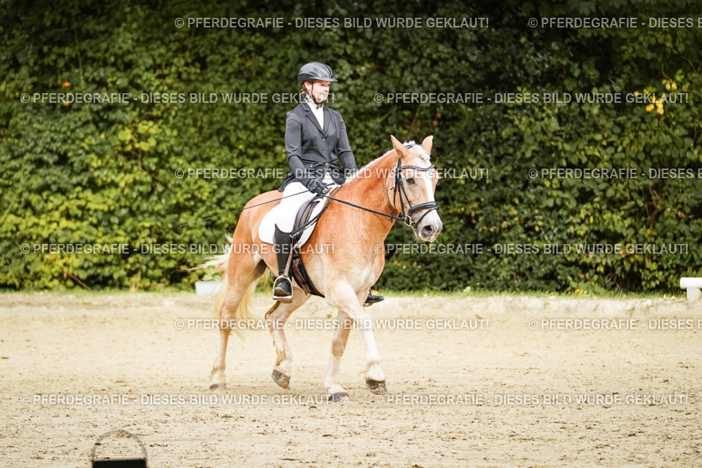 DSC00068 | Pferdegrafie