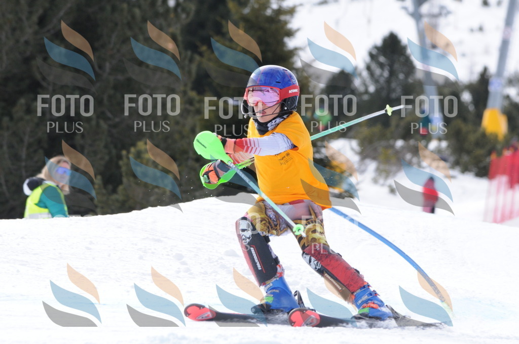 C7551 | holidayphoto