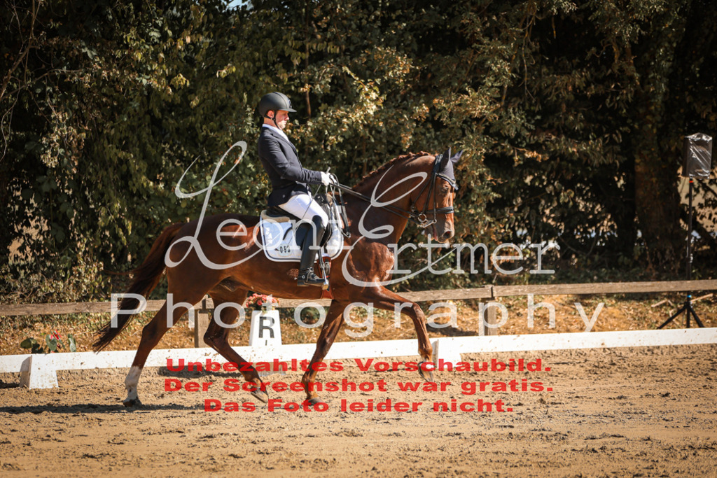 05.SaDrM00139 | Leoni Ertmer Photography - Realisiert mit Pictrs.com