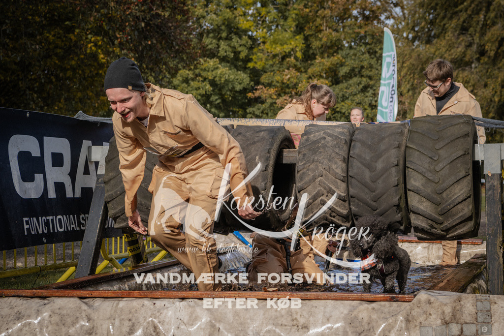 1401_ZZ93733 | kk-dogfotos