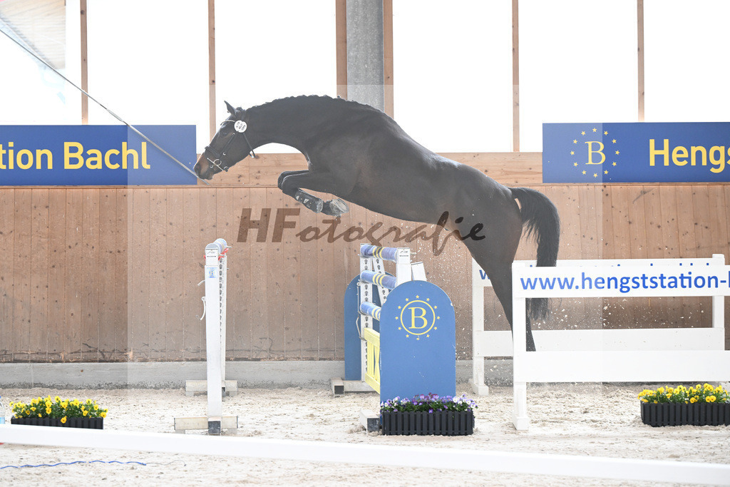 Kat-Nr. 6 Aristomacho v. Kros_Schneider_5250225 | hf-fotografie - Realisiert mit Pictrs.com