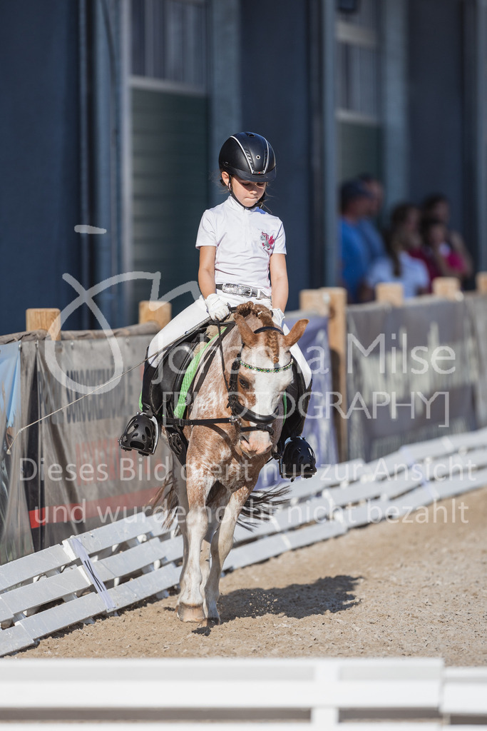 230610_ReiterWB-431 | Deine schönsten Turniermomente als professionelle Fotos! Entdecke hochwertige Pferdesport-Fotografie im Online-Shop. Jetzt Fotos finden & bestellen!