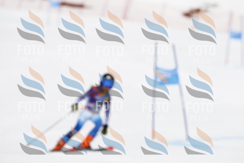 _U3G7290 | holidayphoto