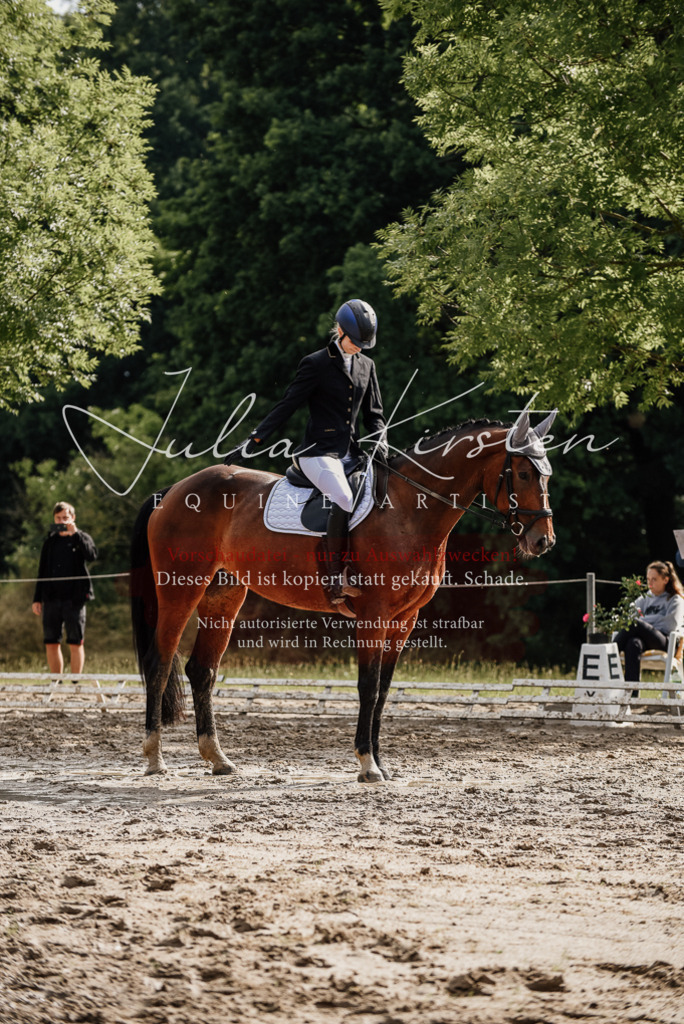 DSC_9082 | Pferde- und Turnierfotografie in Westsachsen. Pferdeportraits, Auftragszeichnungen und intuitive Kunst.
