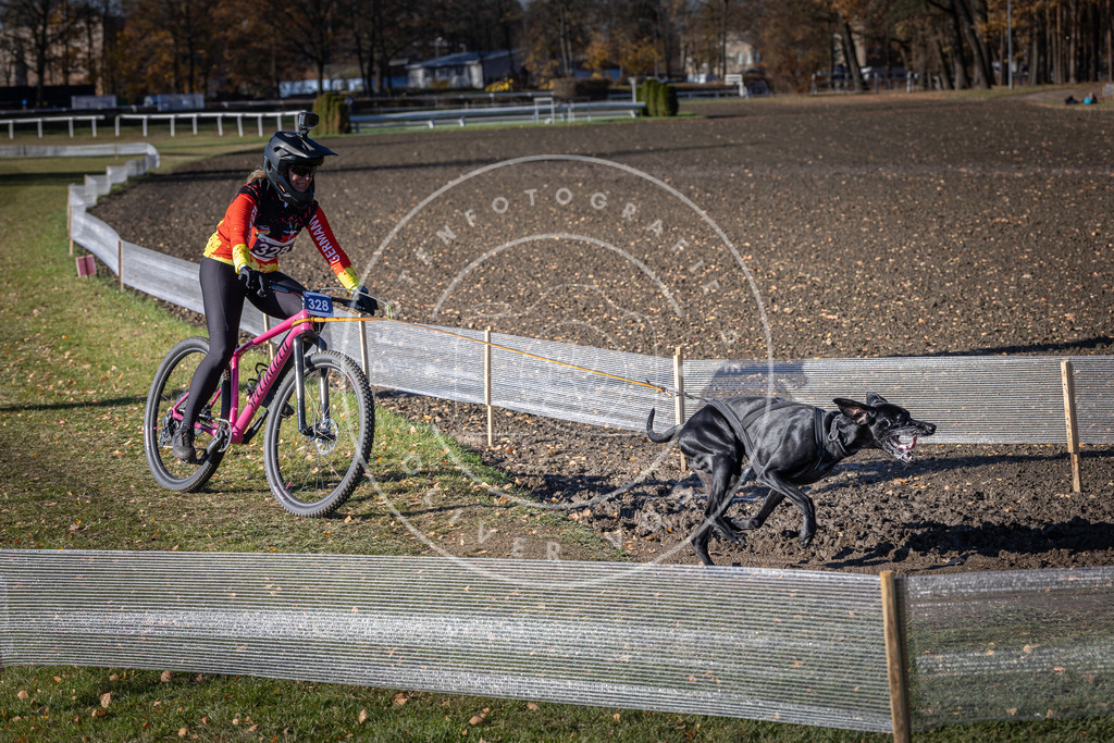 CaniXpix_DV3A6683 | Hundefotografie, Tierfotograf, Pfotenfotografie, Fotoshooting Hund, Hunde Portrait, Hundesport, Hundeportraits, Heideshooting, Hunde, Sportfotograf, Hundefotograf, Turnierhundsport, THS,  - Realisiert mit Pictrs.com