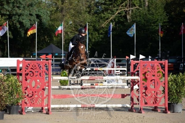 2B4A1007 | pixelfaenger - Realisiert mit Pictrs.com