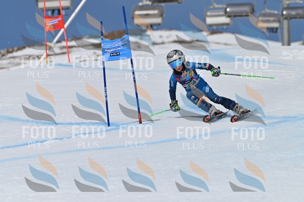 BGV_6614 | holidayphoto