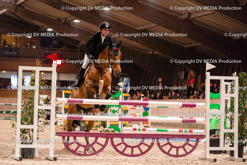 Springen Tag 2-858 | dv-media-shop - Realisiert mit Pictrs.com