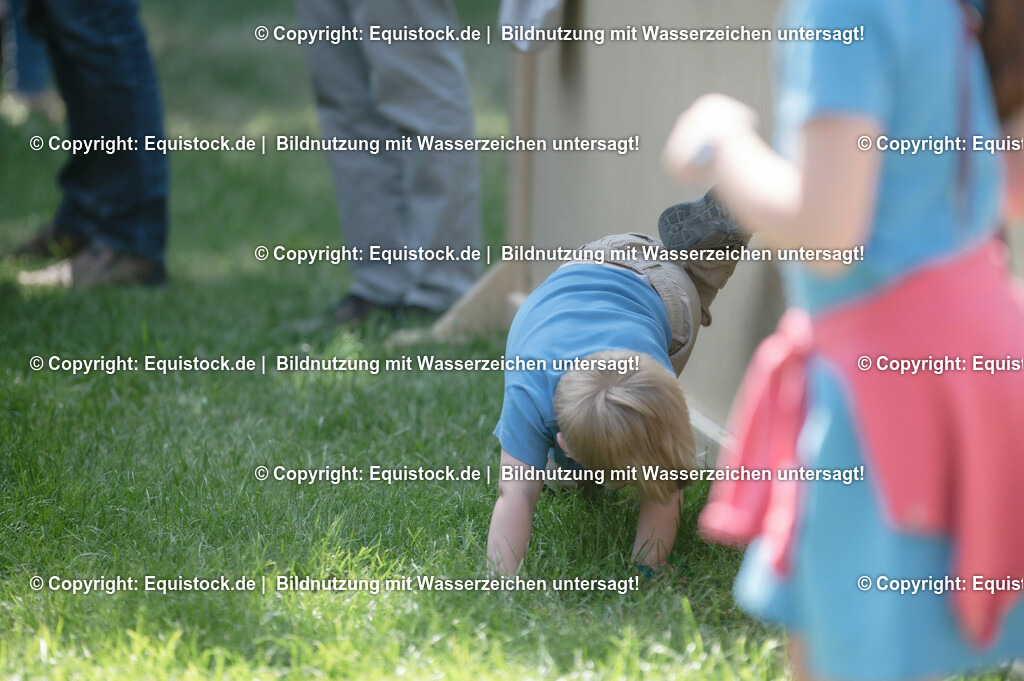 20230528_Voltigieren_NASPA_0276 | equistock