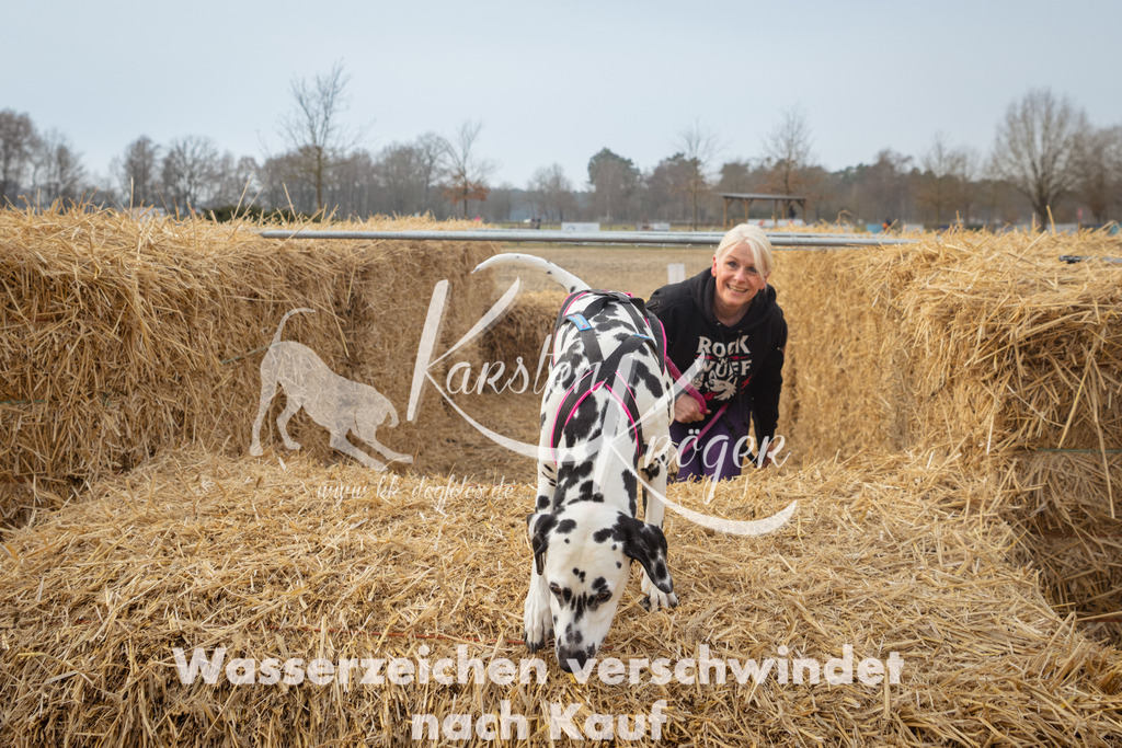 1007_ZZ92325 | kk-dogfotos