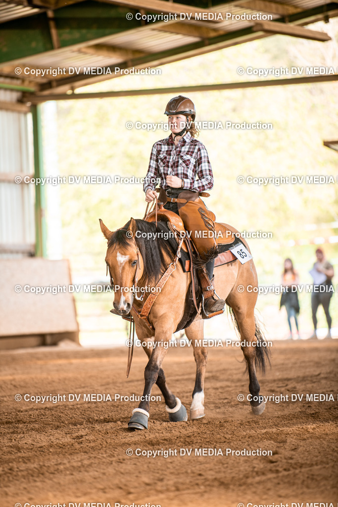 Balingen Tag 4-880 | dv-media-shop - Realisiert mit Pictrs.com