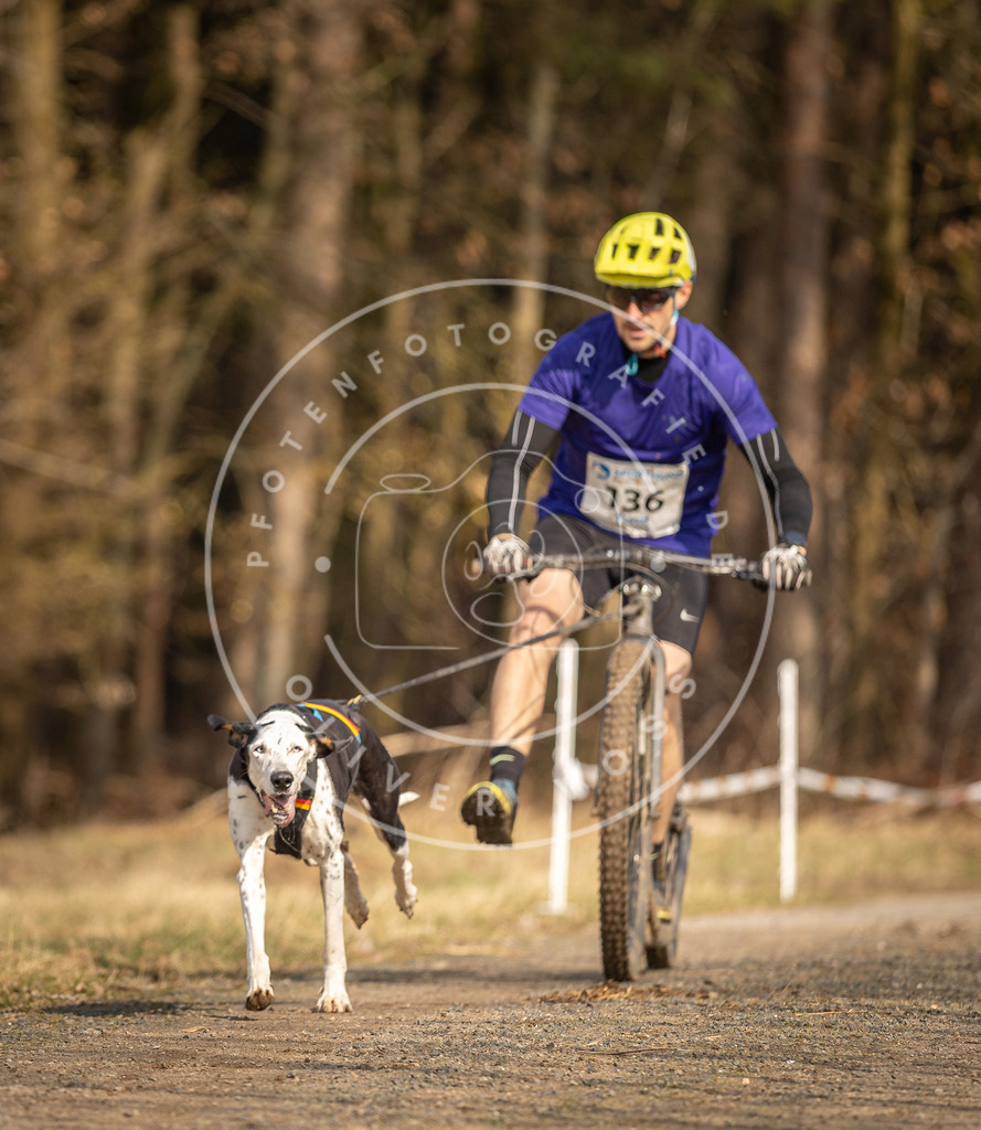 DV3A4687 | Hundefotografie, Tierfotograf, Pfotenfotografie, Fotoshooting Hund, Hunde Portrait, Hundesport, Hundeportraits, Heideshooting, Hunde, Sportfotograf, Hundefotograf, Turnierhundsport, THS,  - Realisiert mit Pictrs.com