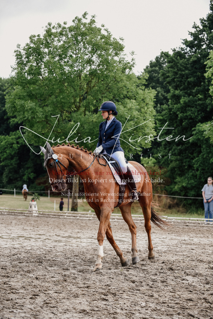 DSC_9901 | Pferde- und Turnierfotografie in Westsachsen. Pferdeportraits, Auftragszeichnungen und intuitive Kunst.