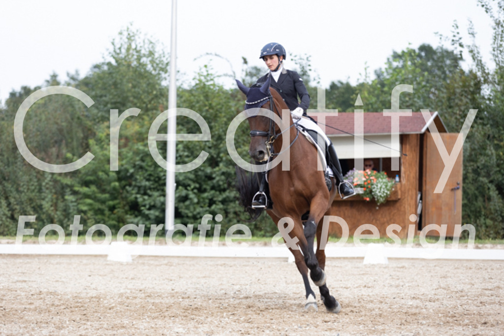 IMG_5191 | Creatify Fotografie