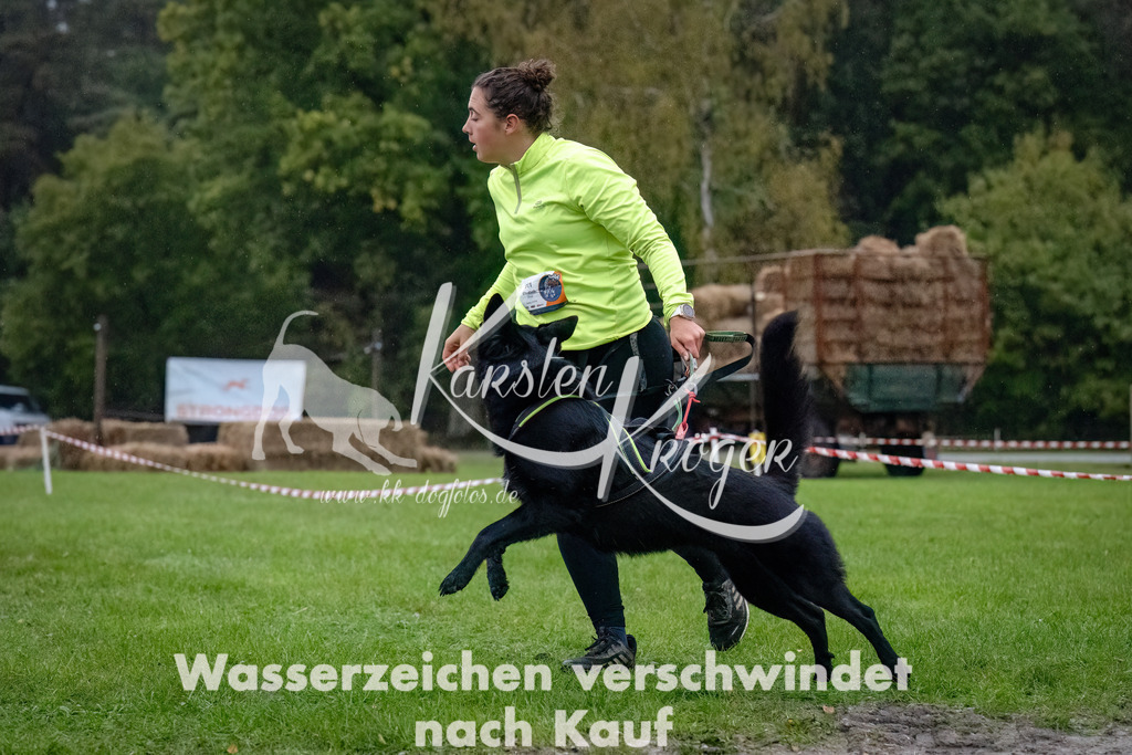 0821-_ZZ91098-Bearbeitet-Bearbeitet | kk-dogfotos