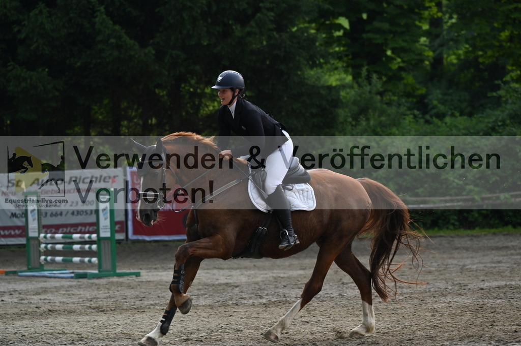 DSC_4682 | equestrian-live-com