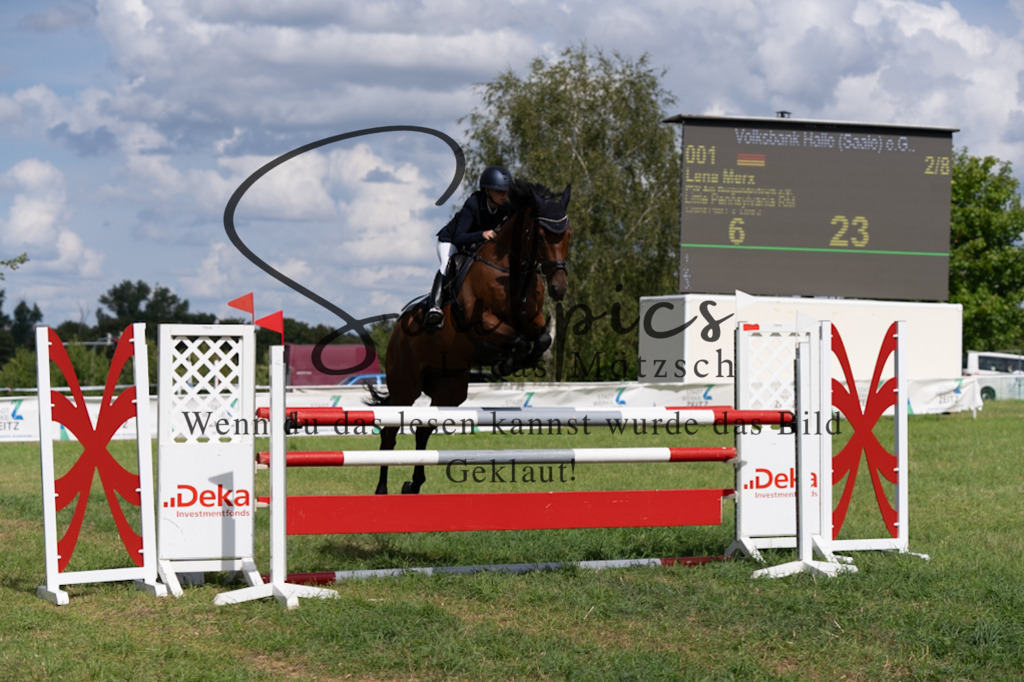 A7V04680 | Pferdefotograf