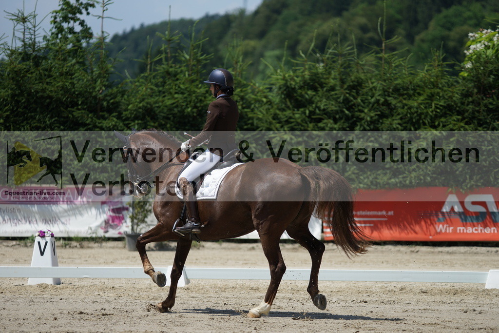 DSC05066 | equestrian-live-com