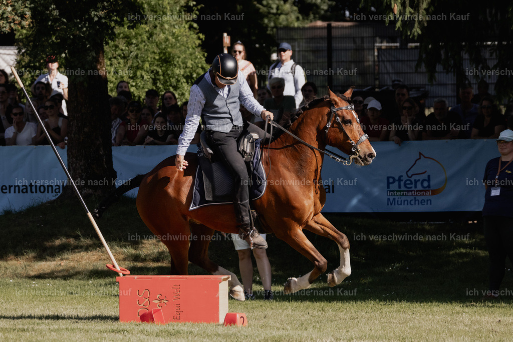 _AM10833 | Pferd International München 2025
