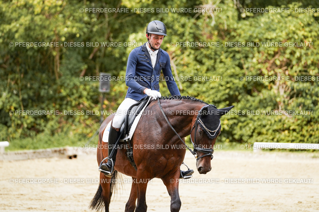 DSC09164 | Pferdegrafie