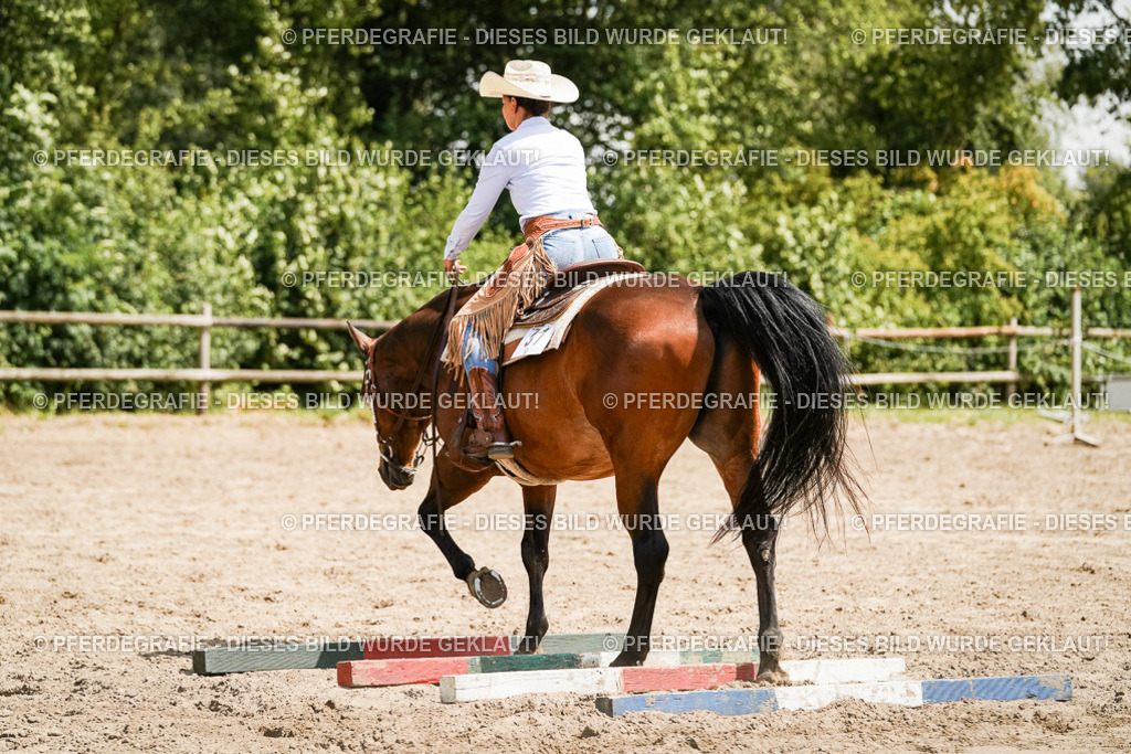 DSC09676 | Pferdegrafie