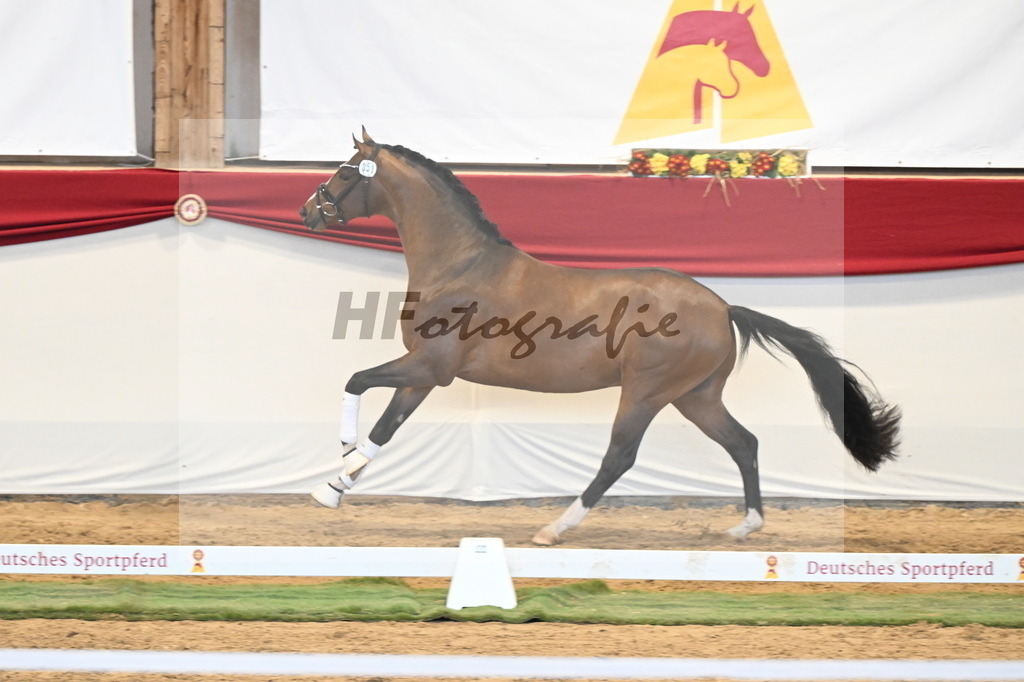 Kat.-Nr. 51 v. Fanegro_Gaab_3260517 | hf-fotografie - Realizzato con Pictrs.com