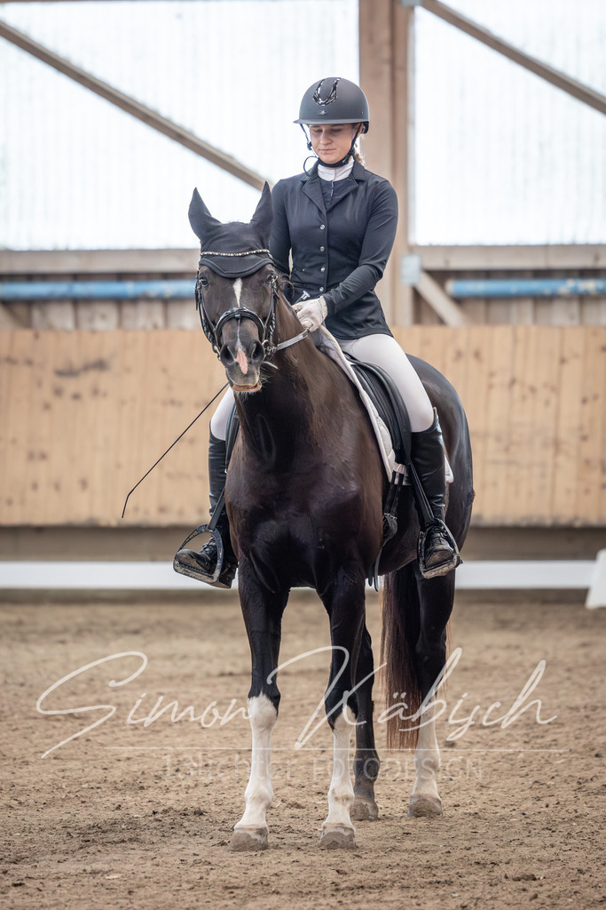 20251011-_3LI9252 | Tierfotografie Pferde, Hunde, Katzen, Haustiere.
Turnierfotografie Reitturniere, Reiten, Springreiten, Dressur in Hanau, dem Main-Kinzig-Kreis und dem Rhein-Main- Gebiet um Frankfurt