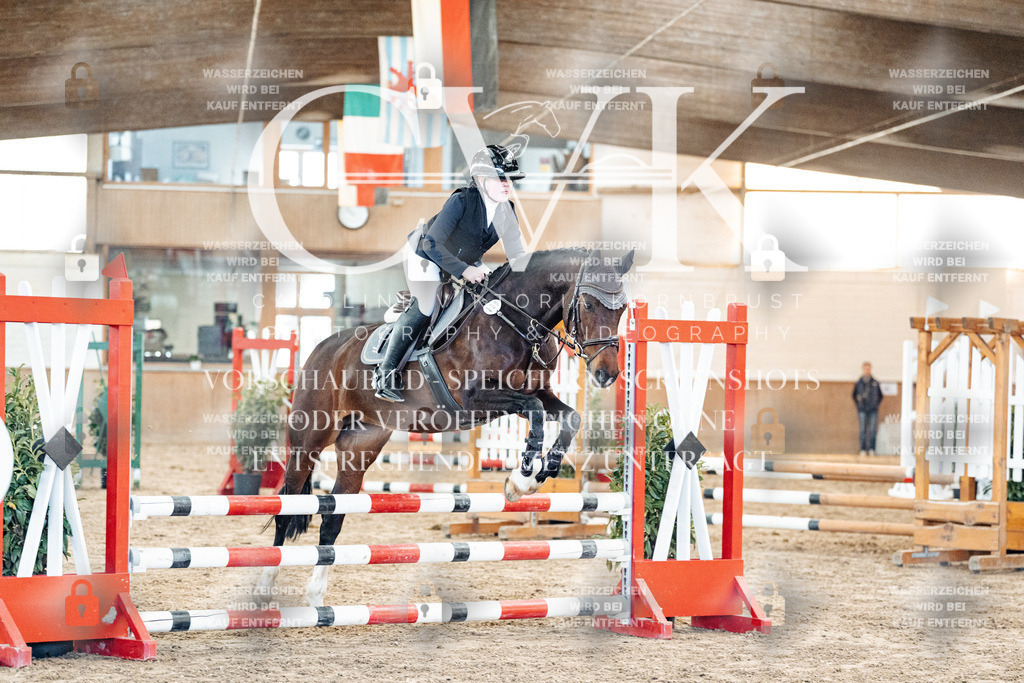 CK904018 | Turnierfotografie Pferdefotografie Trier Rheinland-Pfalz Pferdesport Reitsport Tierfotografie Sportfotografie Pferdevideo Pferdevideografie Equestrianvideography equestrianphotography  - Realisiert mit Pictrs.com