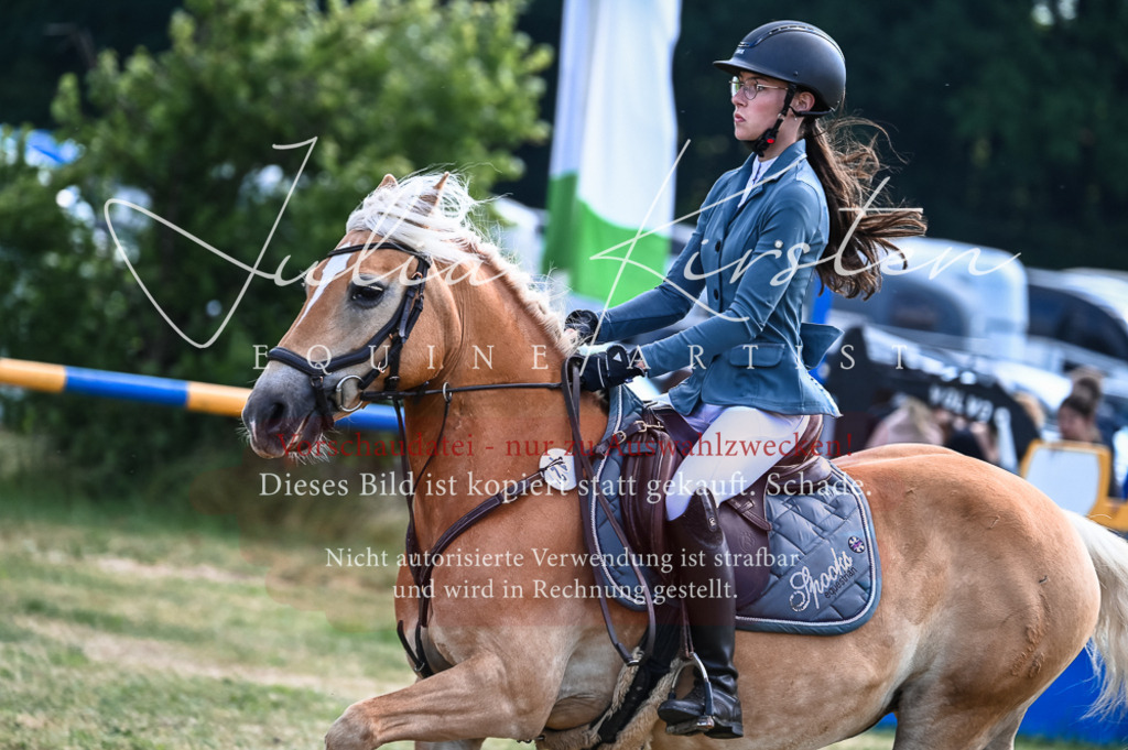DSC_7934 | Pferde- und Turnierfotografie in Westsachsen. Pferdeportraits, Auftragszeichnungen und intuitive Kunst.