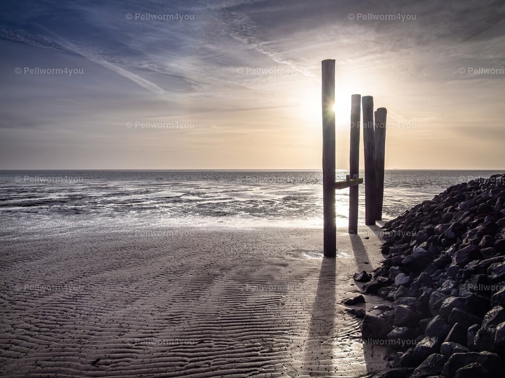 _1010128-Enhanced-NR-sharpen-denoise | Pellworm - Realisiert mit Pictrs.com