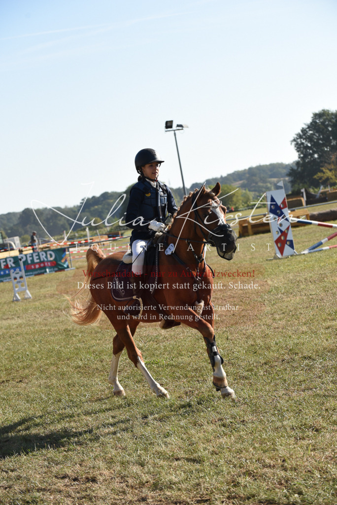 DSC_5656 | Pferde- und Turnierfotografie in Westsachsen. Pferdeportraits, Auftragszeichnungen und intuitive Kunst.