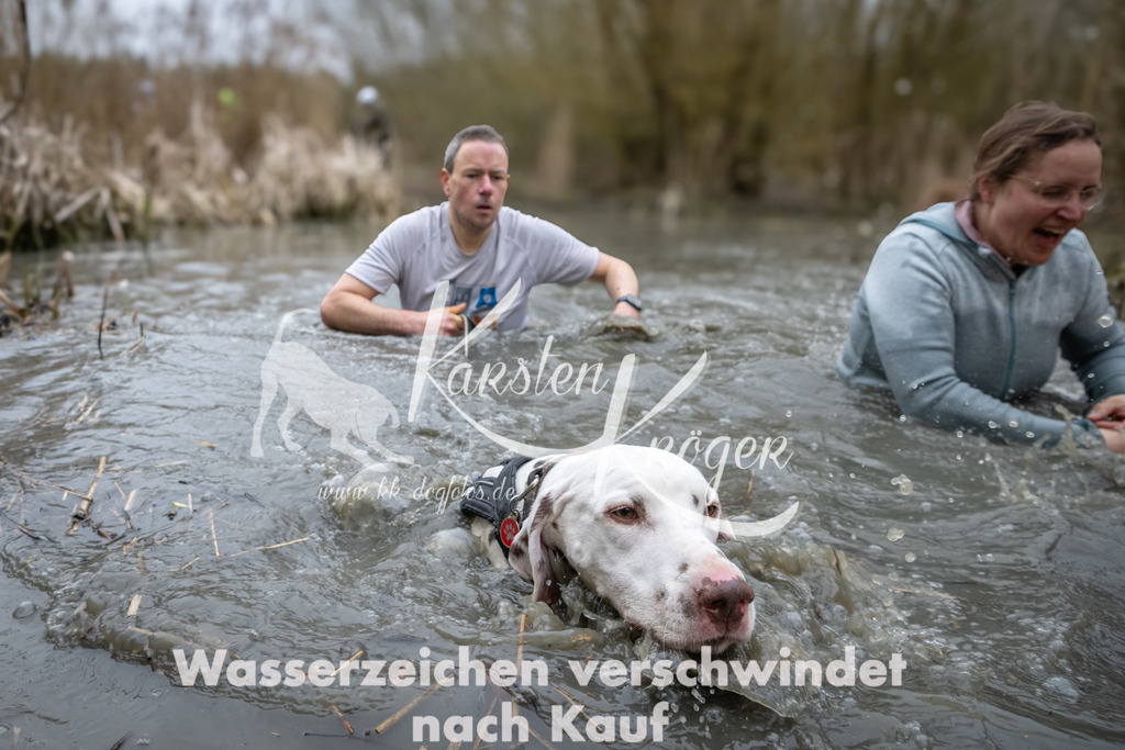 1012_ZZ96992 | kk-dogfotos