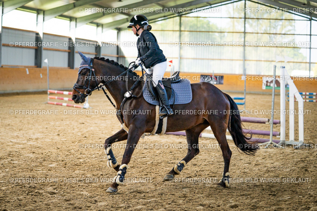 DSC00890 | Pferdegrafie