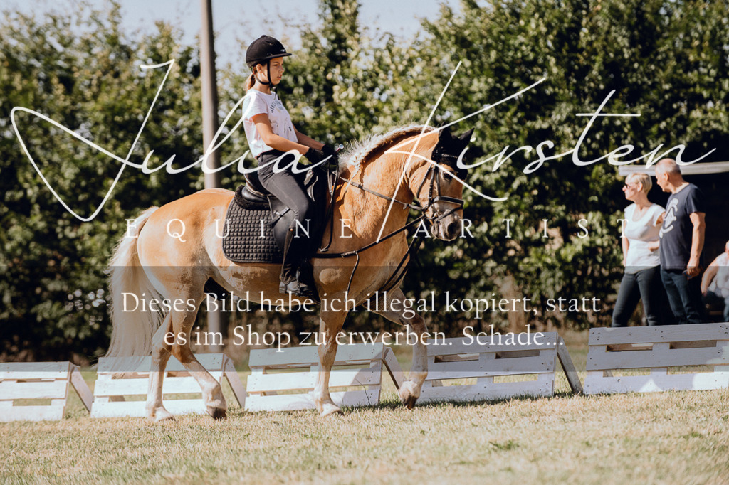 DSC_7280 | Pferde- und Turnierfotografie in Westsachsen. Pferdeportraits, Auftragszeichnungen und intuitive Kunst.