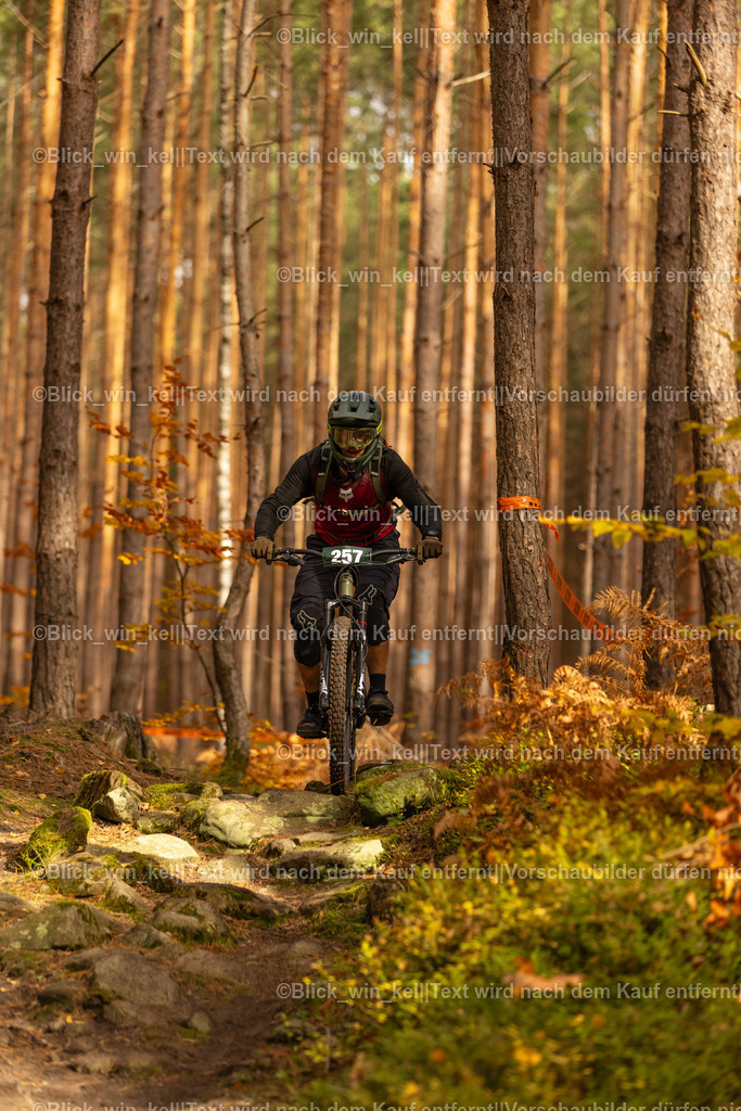 E68A2895 | blick_win_kel