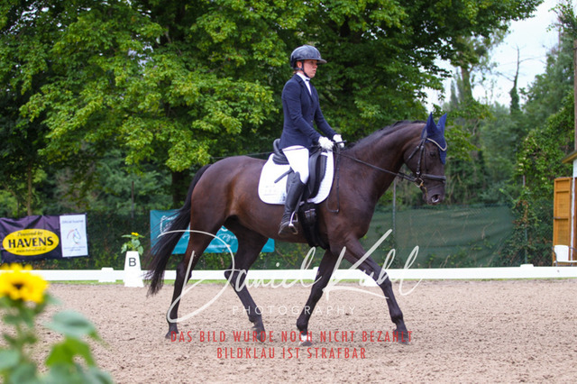 DKP41762 | Turniersportfotografie; Pferdefotografie; Dressurfotografie