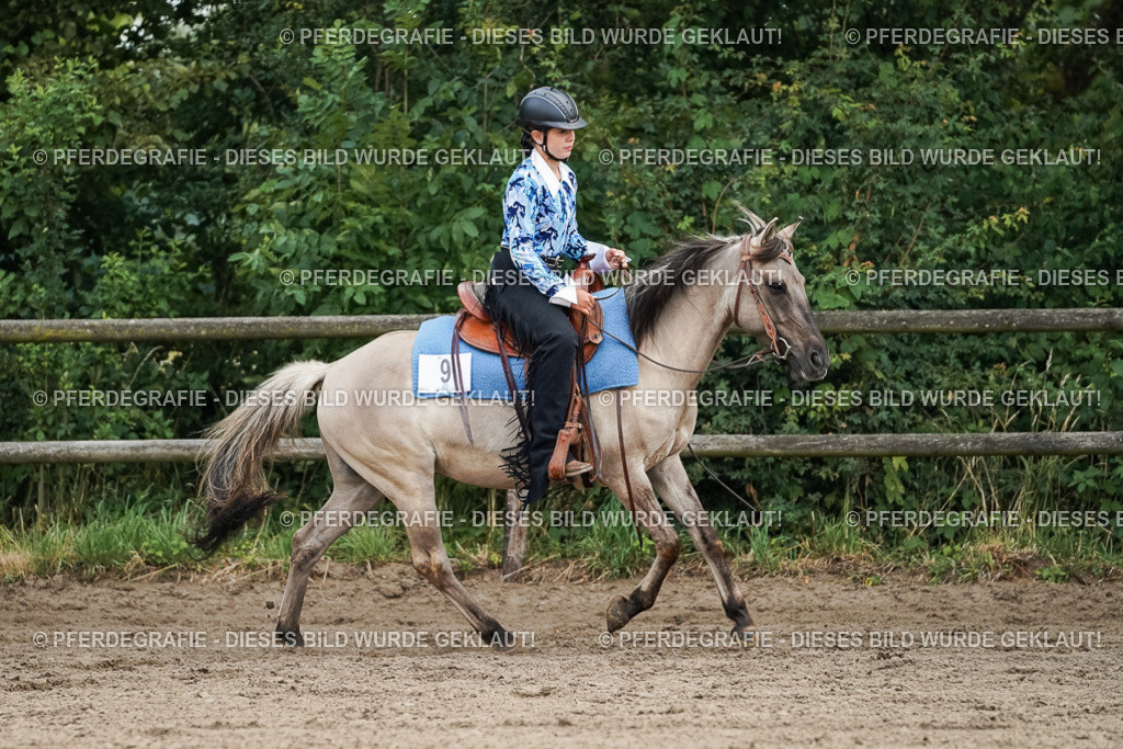 DSC03587 | Pferdegrafie