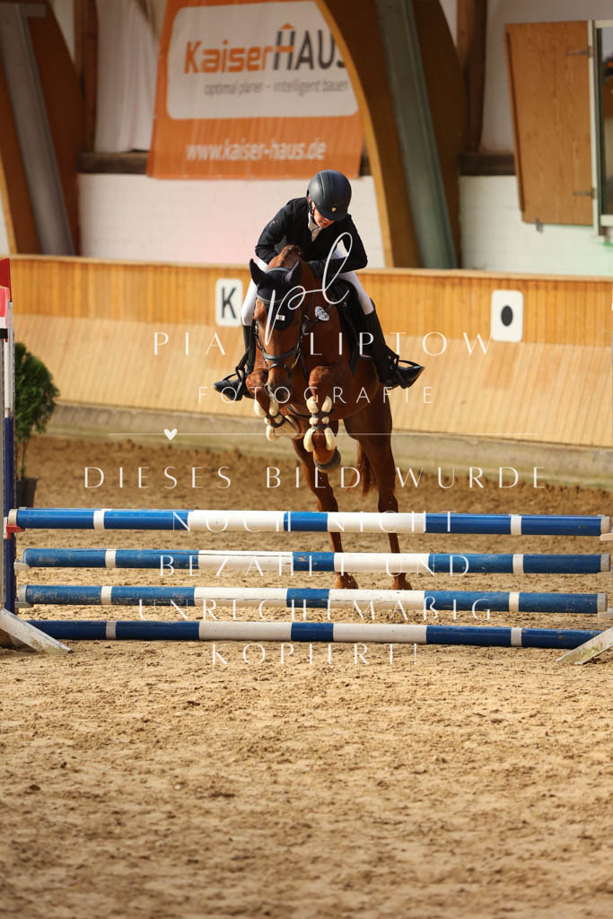 IMGM0374 | pl-fotografie