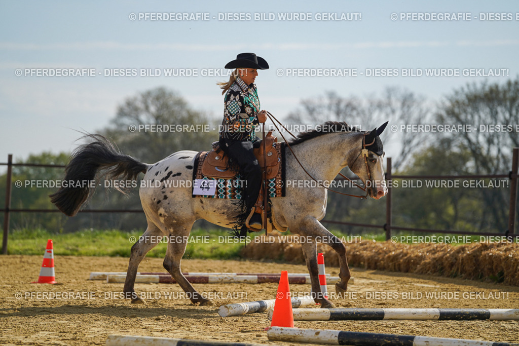 DSC01427 | Pferdegrafie