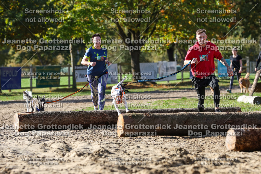 Dog Paparazzi - Strongdog 10-25-4822 | Dog Paparazzi Jeanette Grottendiek Fotografie & Videografie - Realisiert mit Pictrs.com