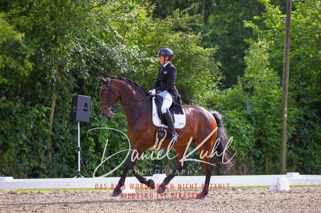 DKP41504 | Deine Turnierfotos vom Reitturnier online kaufen: Dressur, Springen & Siegerehrung. Professionelle Pferdefotografie aus dem Rheinland – als Download & Print.Alternative: Turnierfotograf für den Pferdesport: Finde deine Fotos von Dressur- und Springturnier