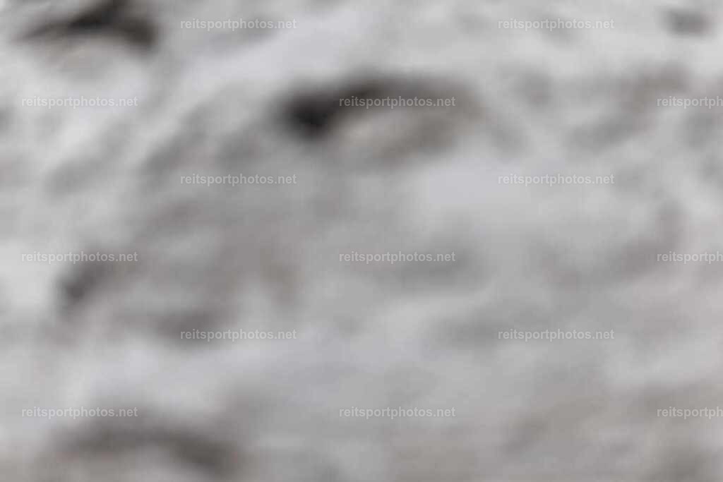JoYaR3_Heidehof_00316 | JoYa Fotografie - Realisiert mit Pictrs.com