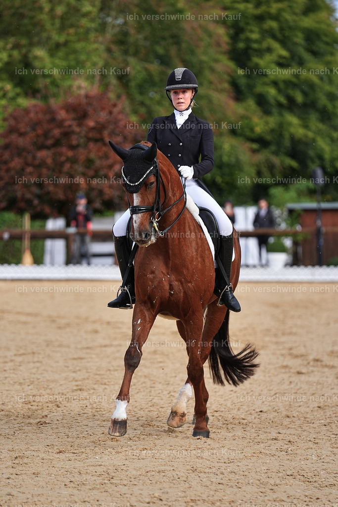 10-061-ST.GEORG SPECIAL -Marixx-3328 | working equitationturnier fotograf videograf stoibphotography marixx film working equitation deutschland reitsport turnierfotografie eventfotografie equestrian events
