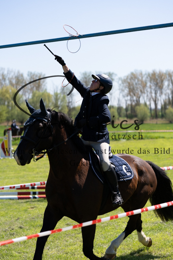 A7V01097 | Pferdefotograf