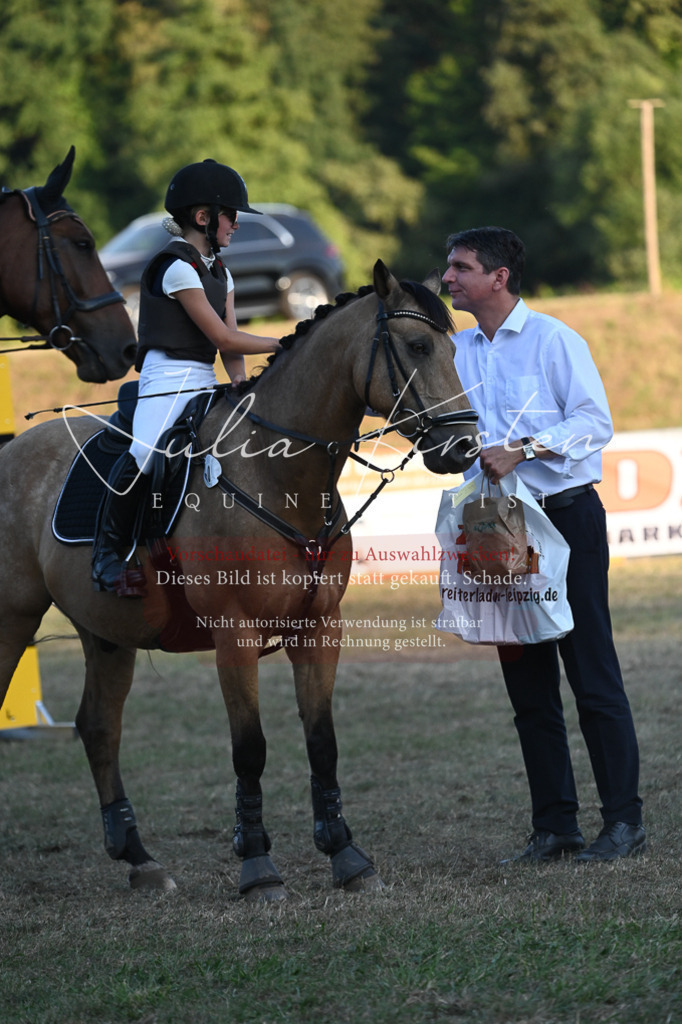 DSC_9272 | Pferde- und Turnierfotografie in Westsachsen. Pferdeportraits, Auftragszeichnungen und intuitive Kunst.