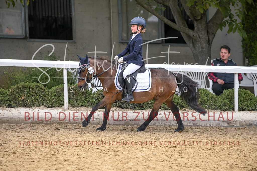 Schugtsche-Aluta25-46.ReiterWB_STG-101 | Schugtsche Fotografie - Realisiert mit Pictrs.com