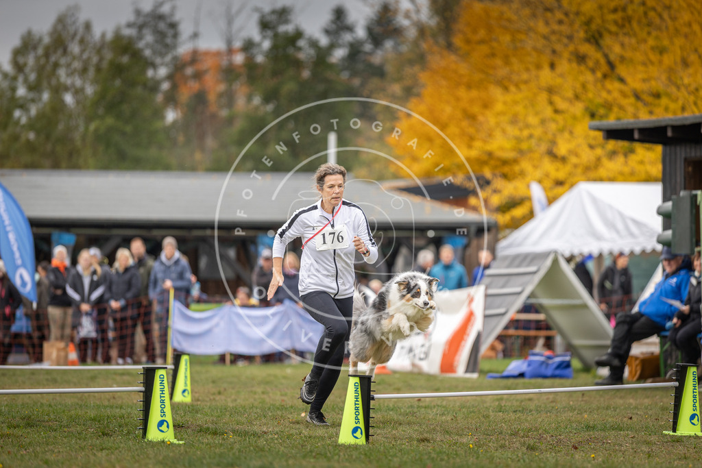 Pfotenfotografie_DV3A5455 | Hundefotografie, Tierfotograf, Pfotenfotografie, Fotoshooting Hund, Hunde Portrait, Hundesport, Hundeportraits, Heideshooting, Hunde, Sportfotograf, Hundefotograf, Turnierhundsport, THS,  - Realisiert mit Pictrs.com