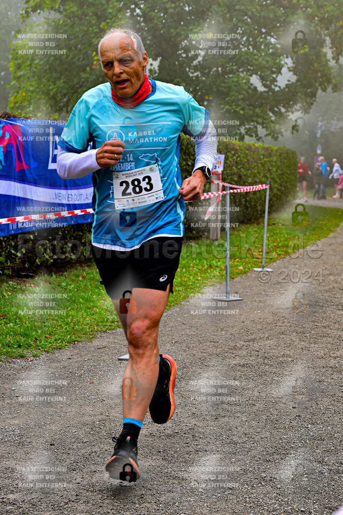 Z8N_1772 | la-psv - Realisiert mit Pictrs.com